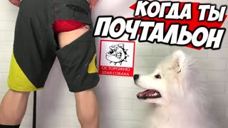 БЕННЕТ ФОДДИ Меняет Профессию