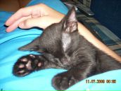 Фотография Дадаевой Альбины