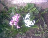 Маріанна Ковач фотография #4 (источник - https://vk.com/id44648385)