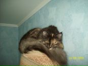 Діма Микитин фотография #21 (источник - https://vk.com/id94342140)