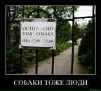 Александр Касапенко фотография #42 (источник - https://vk.com/id10534896)