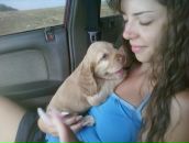 Игорь Горох фотография #6 (источник - https://vk.com/id6322143)