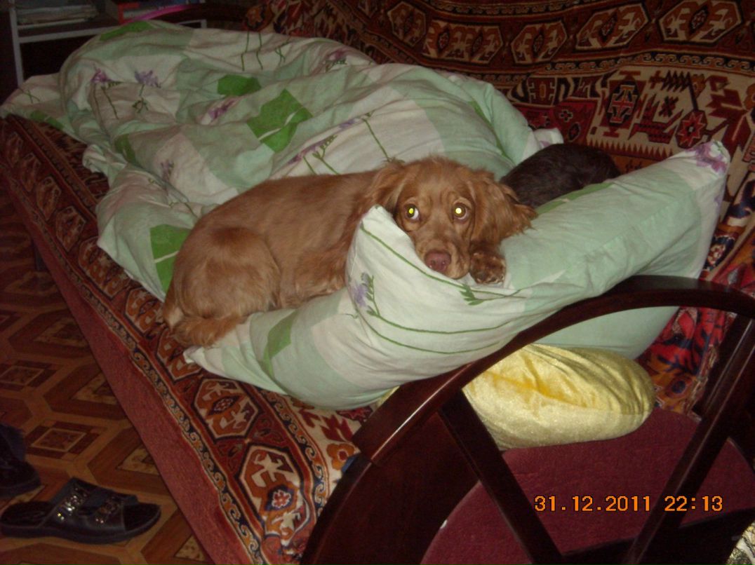 Игорь Горох фотография #36