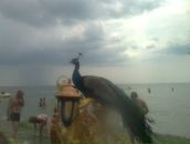 Сергій Пуняк фотография #23 (источник - https://vk.com/id101431393)