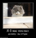 Вікочка Шелемба фотография #39 (источник - https://vk.com/id70260429)