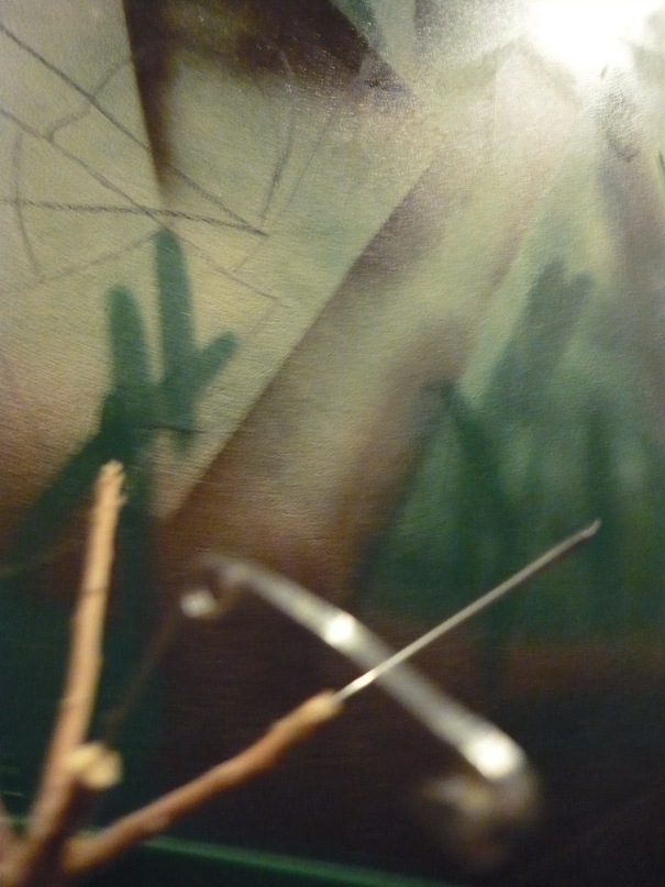 Сергей Луговых фотография #45