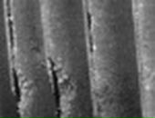 Дмитрий Сидоренко фотография #21 (источник - https://vk.com/id102488413)