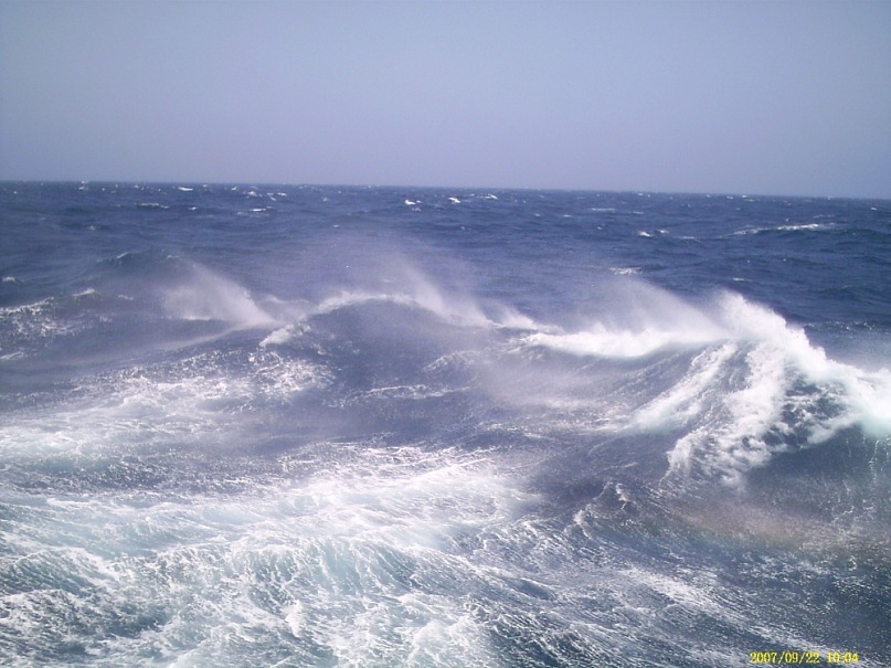 Евгений Шелухин фотография #18