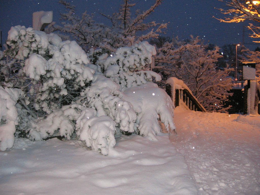 Виктор Авдеев фотография #33