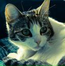 Фотография Литвиновой Кати