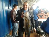 Фотография Aleyev Kirill