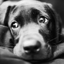 Ілля Гонтарь фотография #14 (источник - https://vk.com/id18469782)