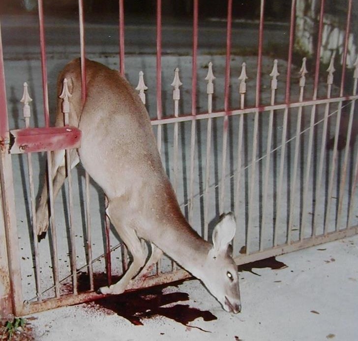 Катя Ткаченко фотография #43