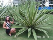 Фотография Негазовой Юлечки