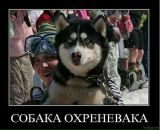 Віталік Вольт фотография #32 (источник - https://vk.com/id2228781)