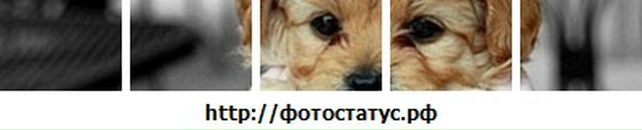 Ріта Вереснюк фотография #36 (источник - https://vk.com/id34647011)