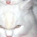 Марінка Баштан фотография #29 (источник - https://vk.com/id70088006)