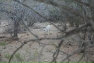 Джейн Эйр фотография #3 (источник - https://vk.com/id440454)