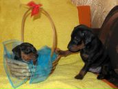 Фотография Бендер Валерии