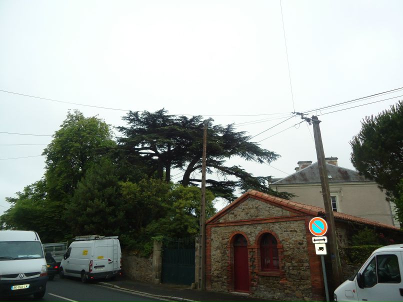 Дмитрий Кулагин фотография #22