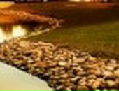 Діана Салада фотография #47 (источник - https://vk.com/id28988703)