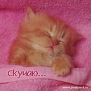 Юрій Яворський фотография #16 (источник - https://vk.com/id355663791)
