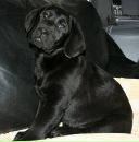 Софья Артюх фотография #7 (источник - https://vk.com/id462645)