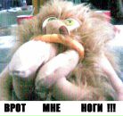 Фотография Кагана Дмитрия