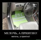 Фотография Никитенко Алексея