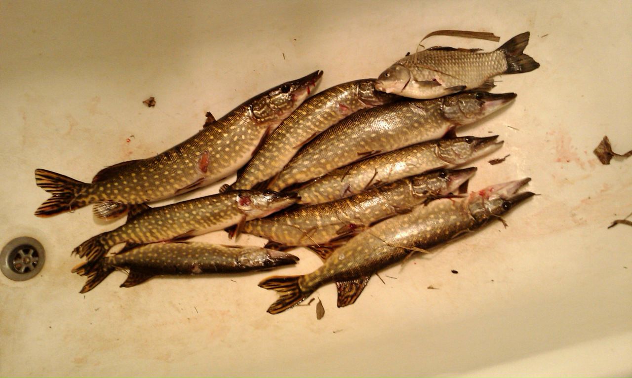 Константин Коваленко фотография #17