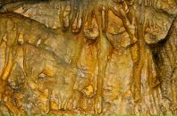 Иван Просоедов фотография #20 (источник - https://vk.com/id12433172)