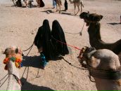 Сергей Тимофеев фотография #27 (источник - https://vk.com/id762014)