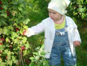 Марічка Пострільонна фотография #14 (источник - https://vk.com/id10175499)