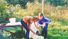 Фотография  