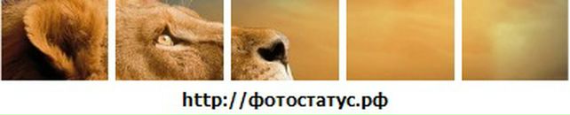 Юлія Луценко фотография #2 (источник - https://vk.com/id125154371)