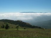 Фотография Гунько Макса