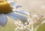 Фотография Зайцевой Марии