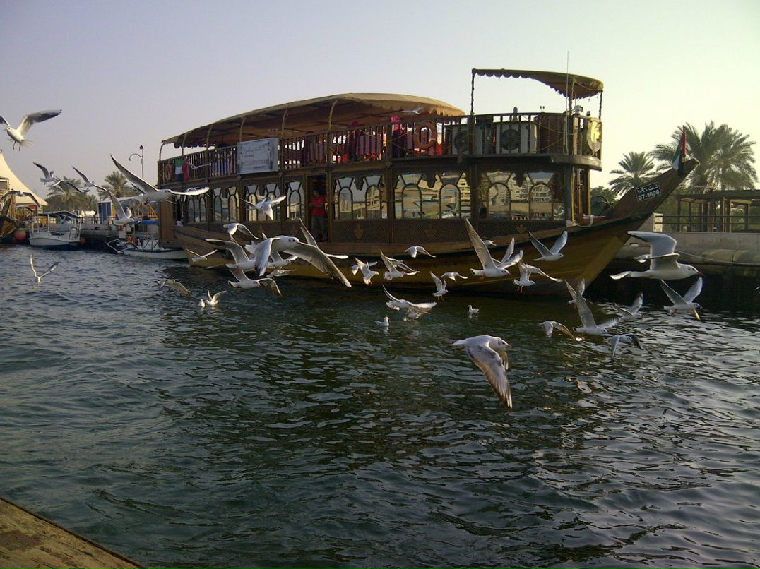 Дмитрий Лаптев фотография #35