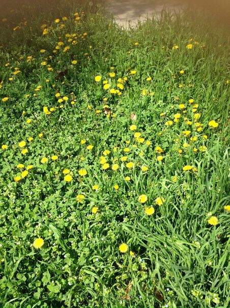 №15, Эльвира Пулатова №15, Эльвира Пулатова