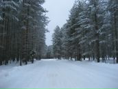 Фотография Кудриной Индиры