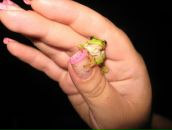 Фотография Мороз Наталии