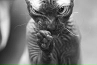 Фотография Аксеновой Марии