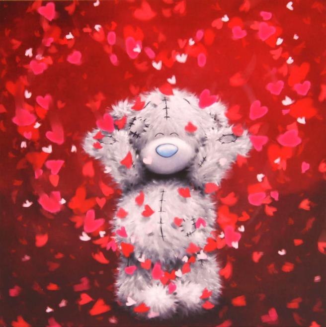 Шакрукх Кхан фотография #26