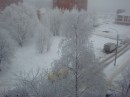 Фотография Белых Светланы