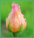 Єва Антонова фотография #37 (источник - https://vk.com/id140761851)