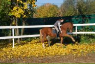 Фотография Мерсеяновой Оксаны