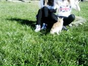 Yulya =) фотография #20 (источник - https://vk.com/id74953788)