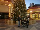 Сергій Косминка фотография #36 (источник - https://vk.com/id76508655)