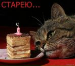 Назарій Романович фотография #12 (источник - https://vk.com/id18101622)