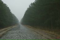 Андрій Свінцицький фотография #21 (источник - https://vk.com/id7948123)